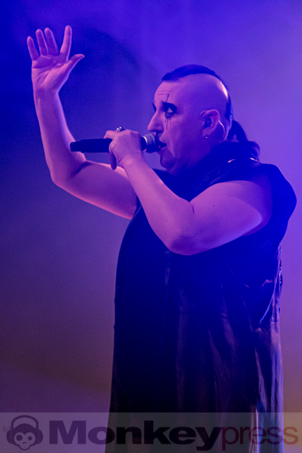 ASP, © Peter Bernsmann