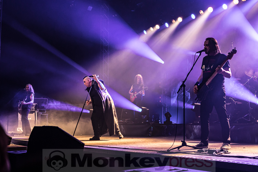 ASP, © Peter Bernsmann