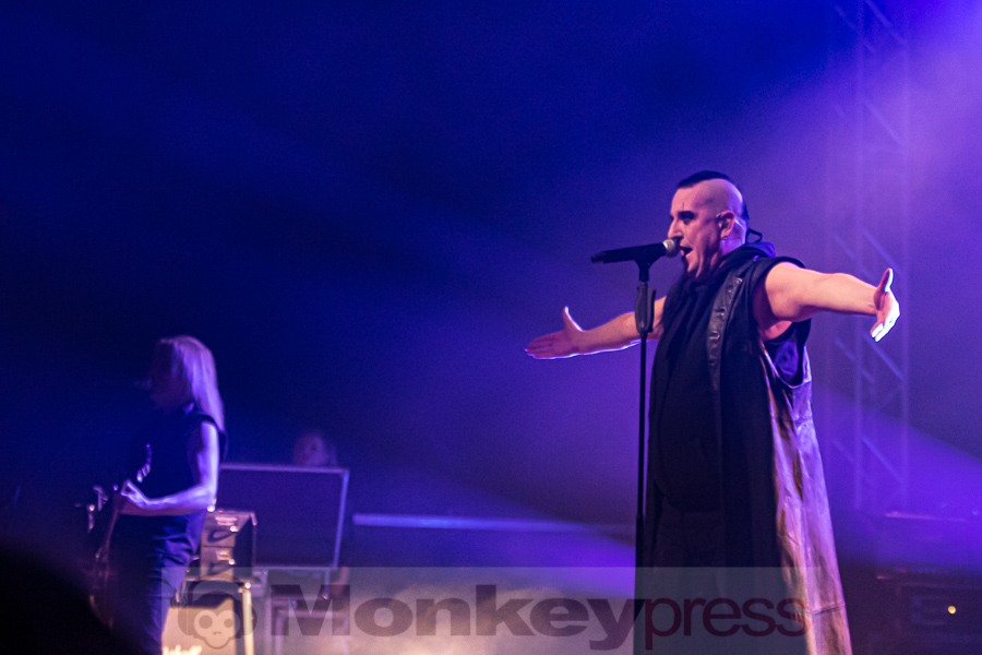 ASP, © Peter Bernsmann