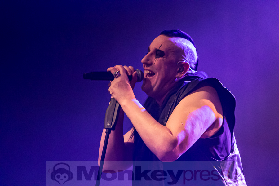 ASP, © Peter Bernsmann