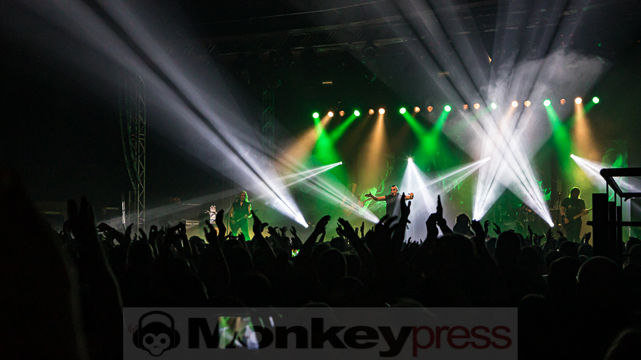 ASP, © Peter Bernsmann