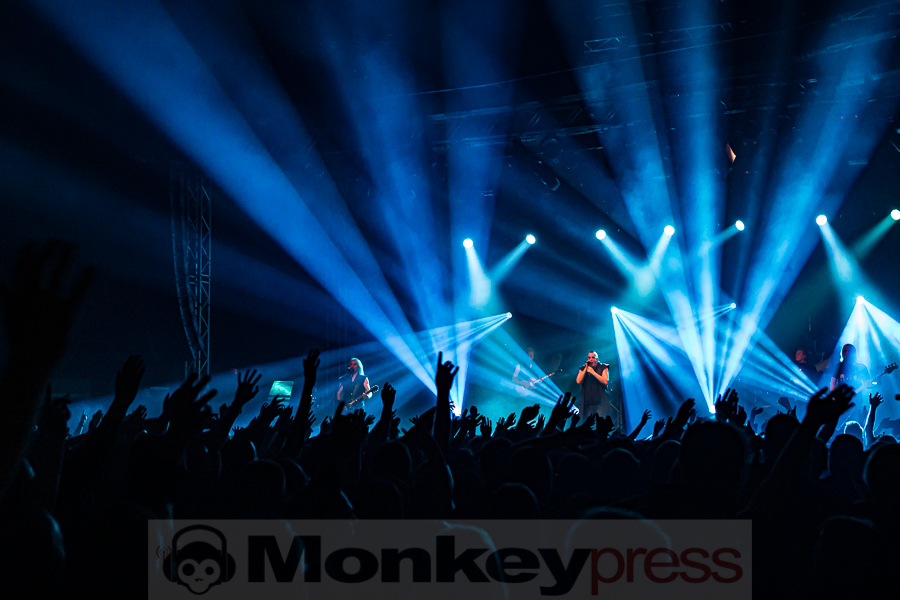 ASP, © Peter Bernsmann