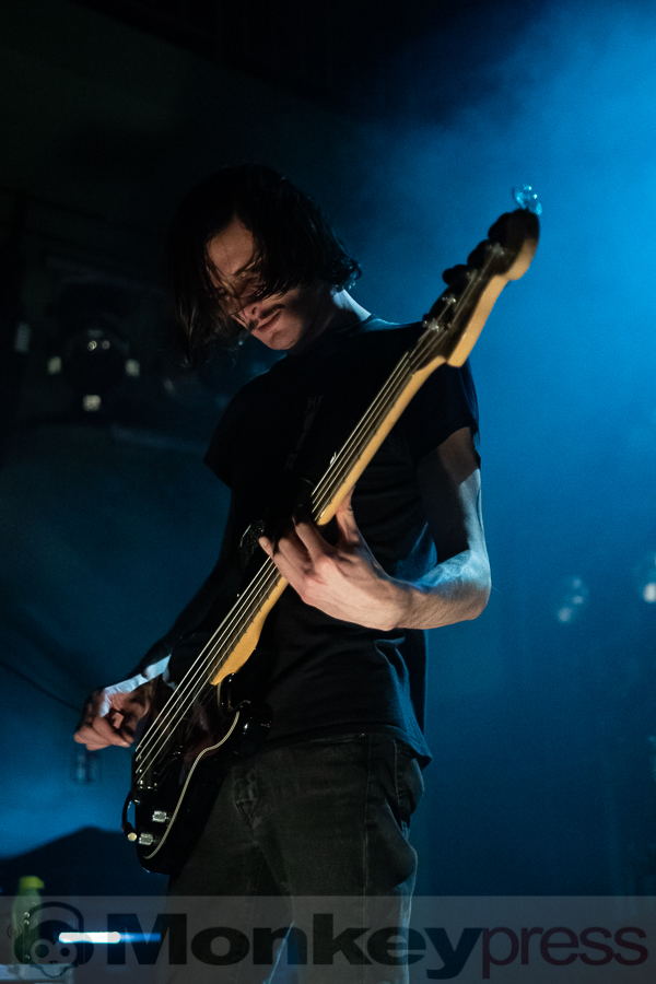 BIRDS IN ROW © Thomas Papenbreer