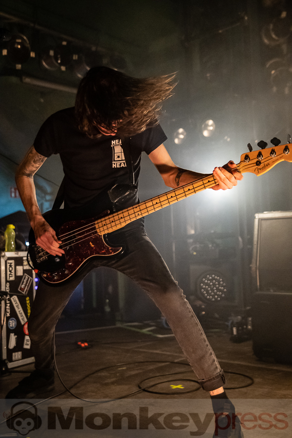 BIRDS IN ROW © Thomas Papenbreer