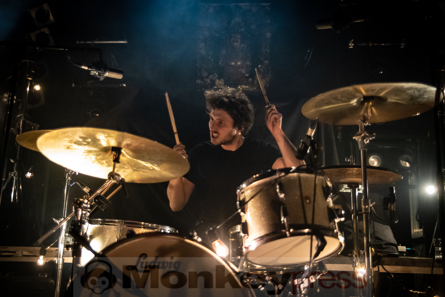 BIRDS IN ROW © Thomas Papenbreer