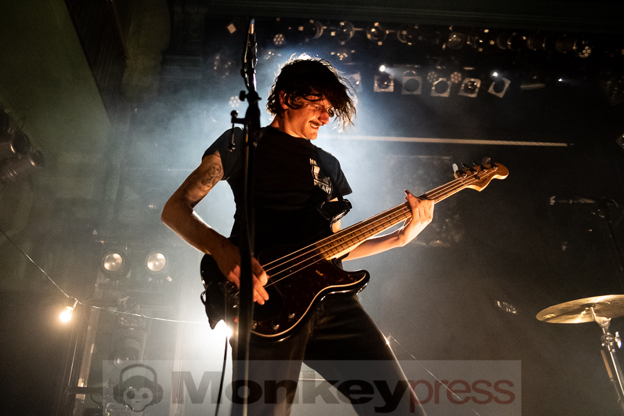 Fotos: BIRDS IN ROW Fotos: BIRDS IN ROW