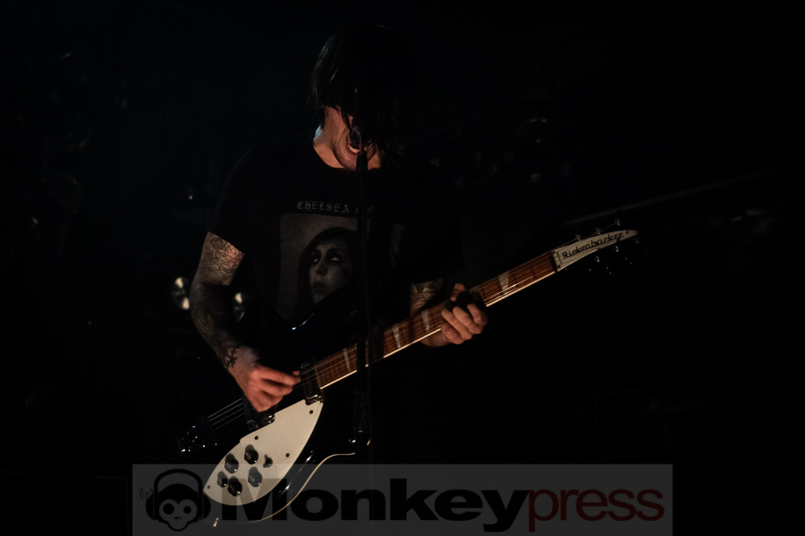 BIRDS IN ROW © Thomas Papenbreer