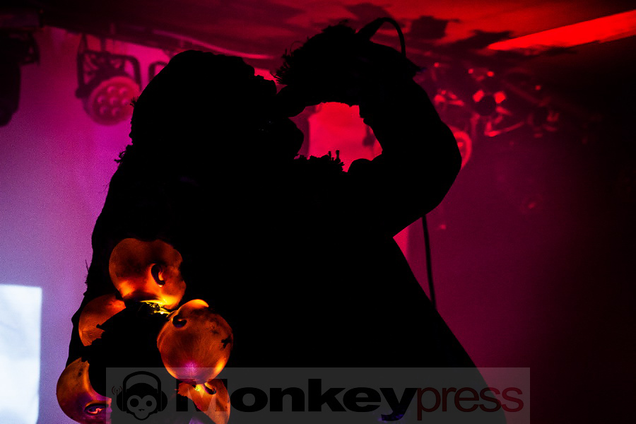 Steffen Seth Prohn | Doctrine.design