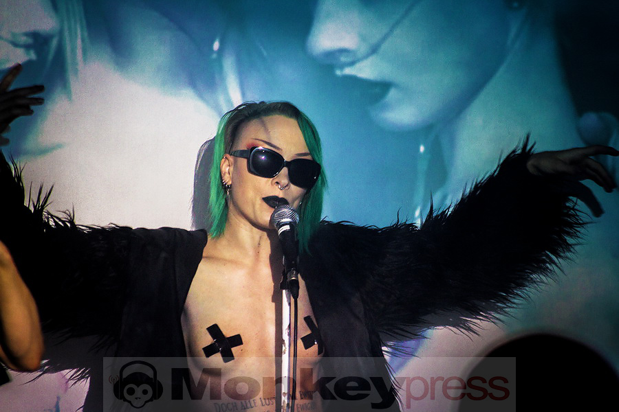 Steffen Seth Prohn | Doctrine.design