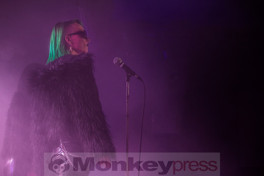 Steffen Seth Prohn | Doctrine.design