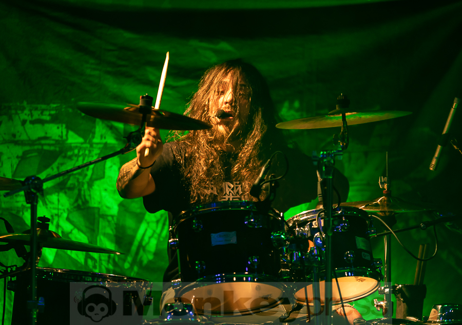 Detraktor, © Birger Treimer