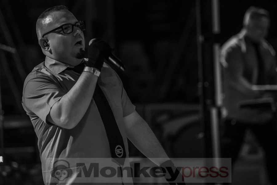 Solitary Experiments, © Cynthia Theisinger