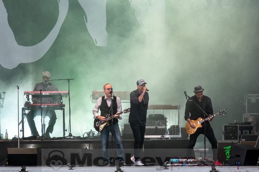 Fury in the Slaughterhouse © Angela Trabert