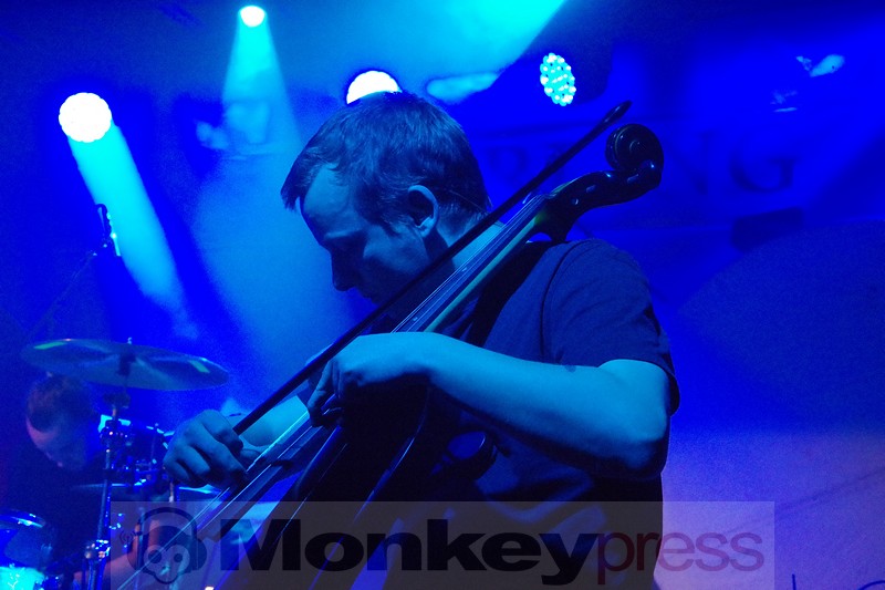 Sperling, © Marius Meyer