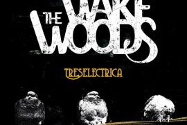 THE WAKE WOODS - Treselectrica