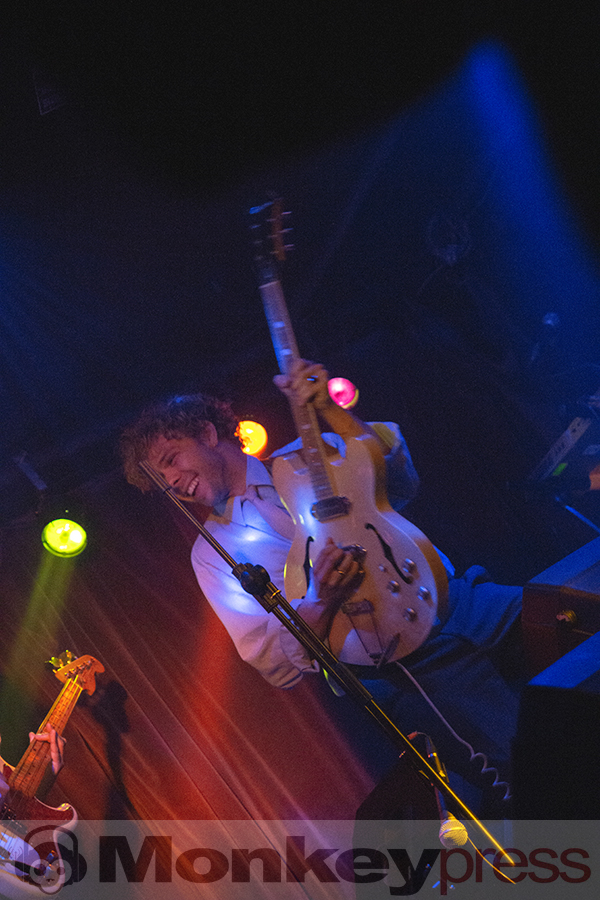 Goldbrasse, © Claudia Helmert