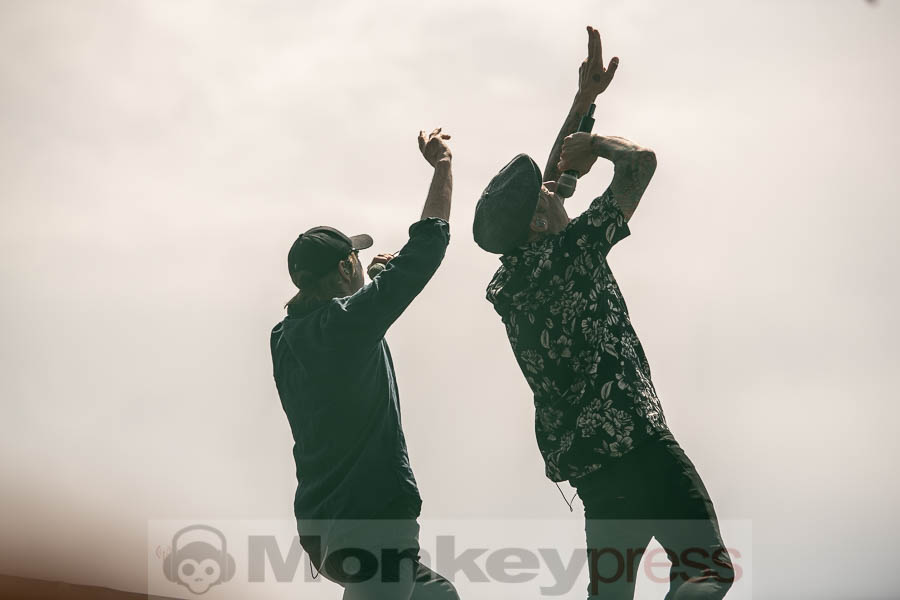 Donots, © Cynthia Theisinger