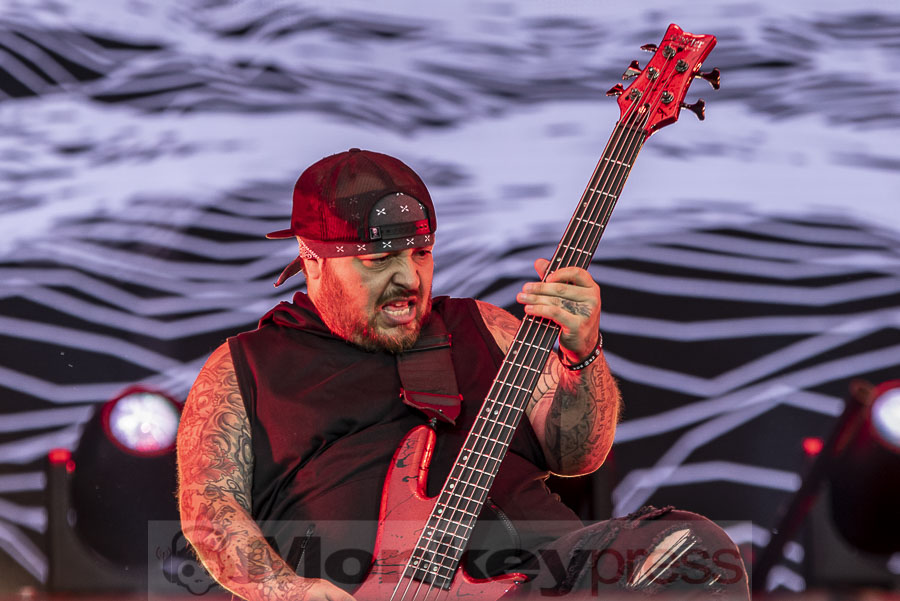 Korn, © Mirco Wenzel