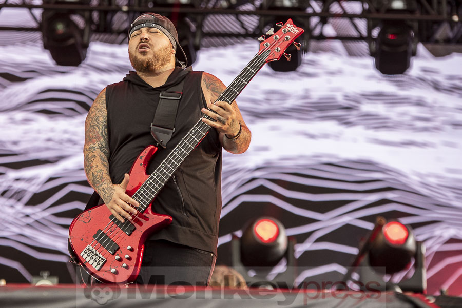 Korn, © Mirco Wenzel