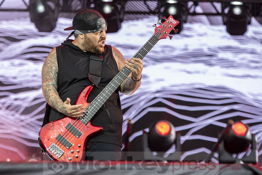 Korn, © Mirco Wenzel