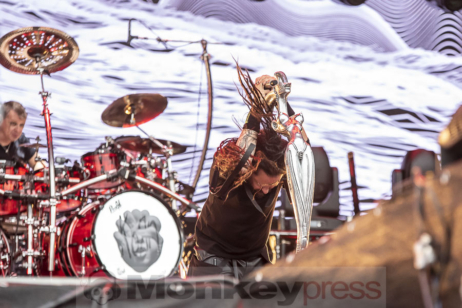 Korn, © Mirco Wenzel