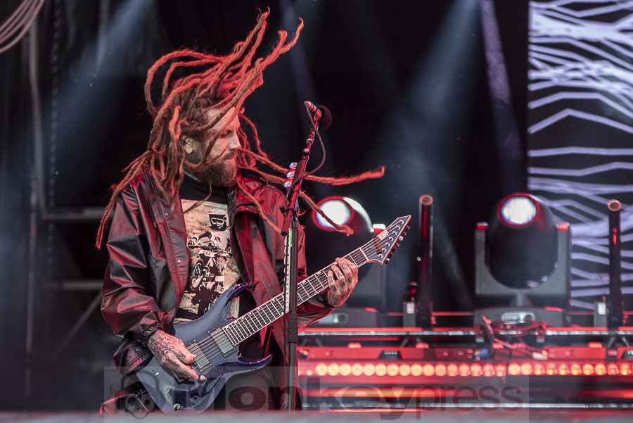 Korn, © Mirco Wenzel