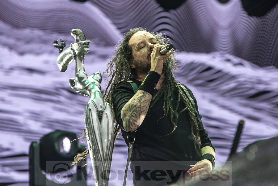 Korn, © Mirco Wenzel