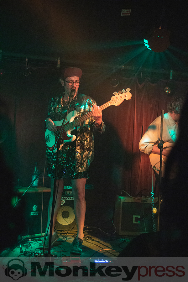 Goldbrasse, © Claudia Helmert