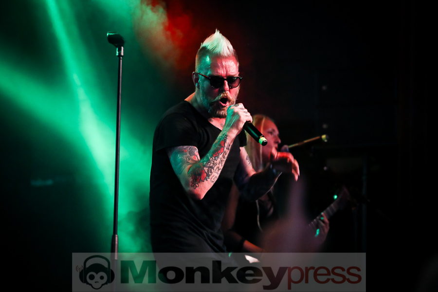 Cat Rapes Dog © Michael Gamon