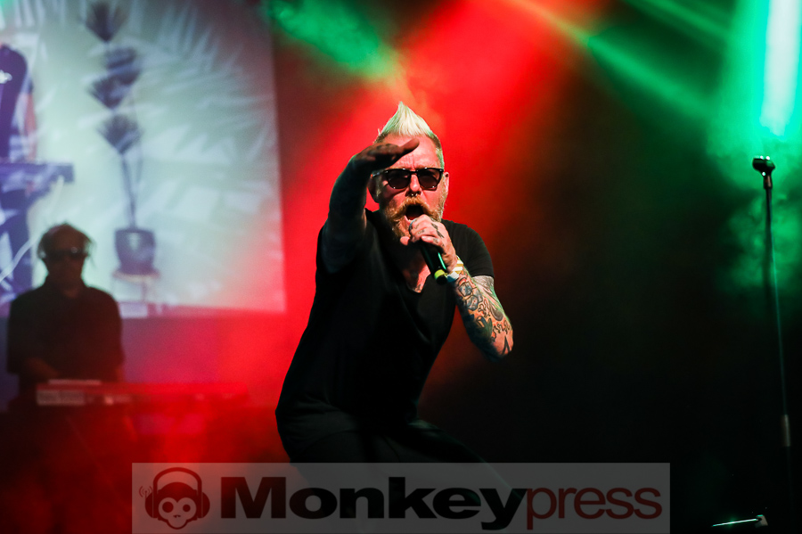 Cat Rapes Dog © Michael Gamon