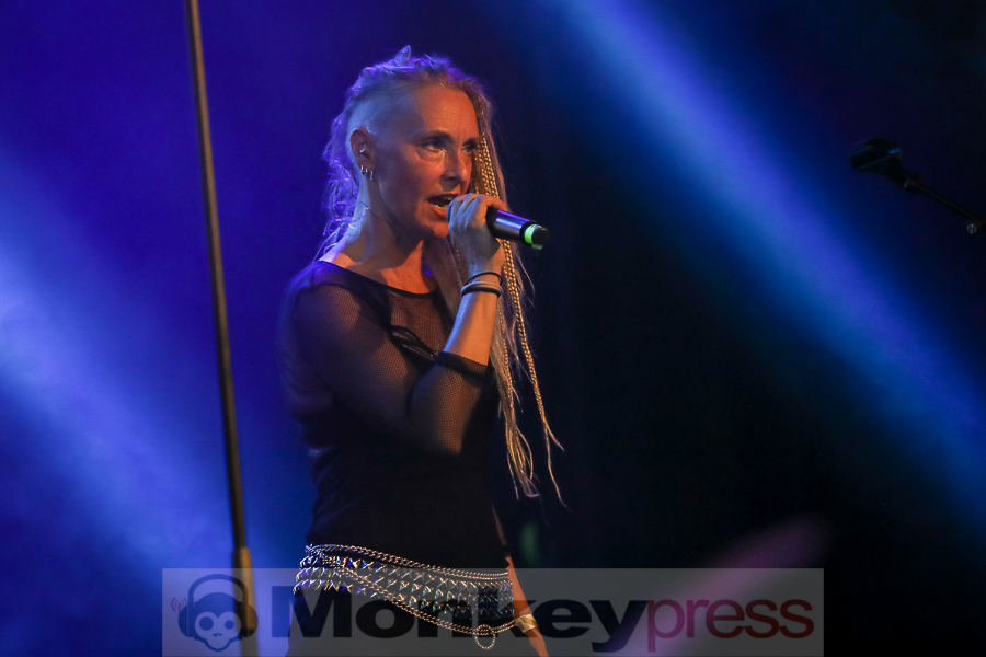 Cat Rapes Dog © Michael Gamon