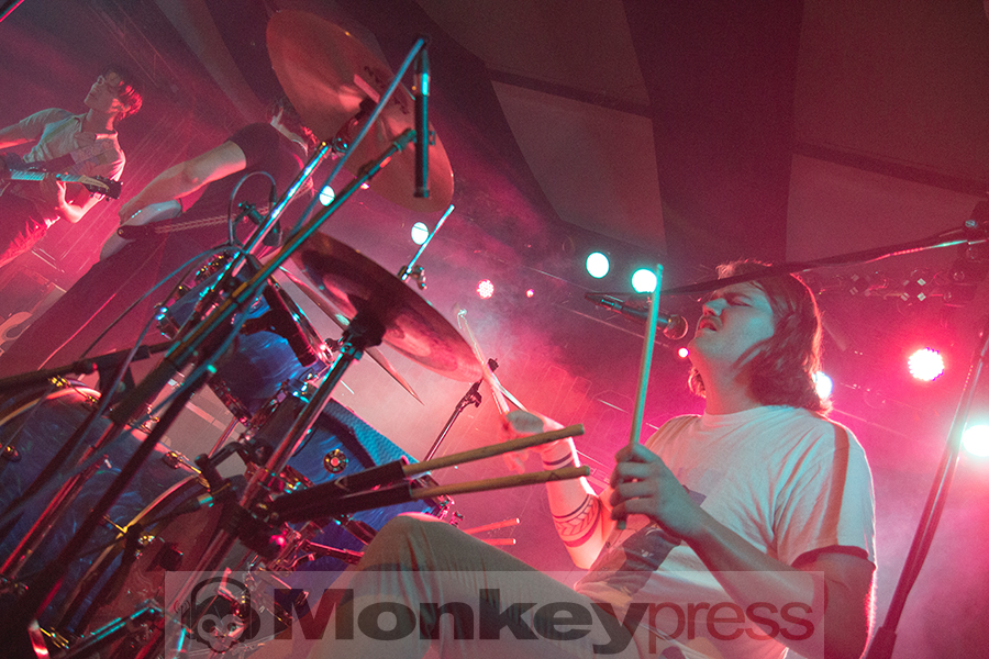 Donkey Kid, © Claudia Helmert