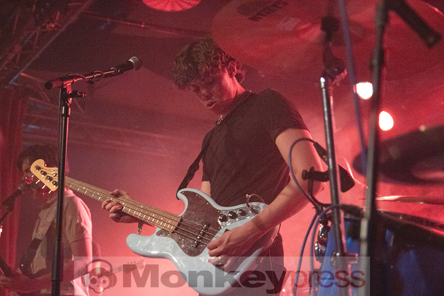 Donkey Kid, © Claudia Helmert