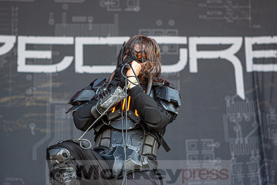 Cypecore, © Markus Hillgärtner