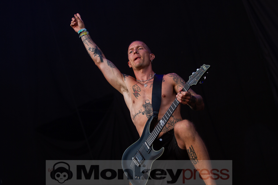 Raised Fist, © Markus Hillgärtner