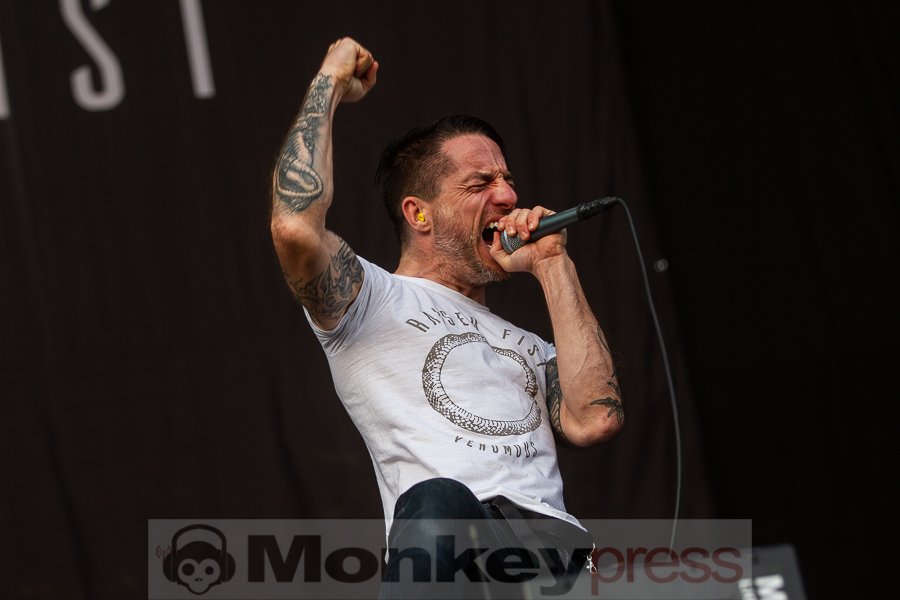 Raised Fist, © Markus Hillgärtner