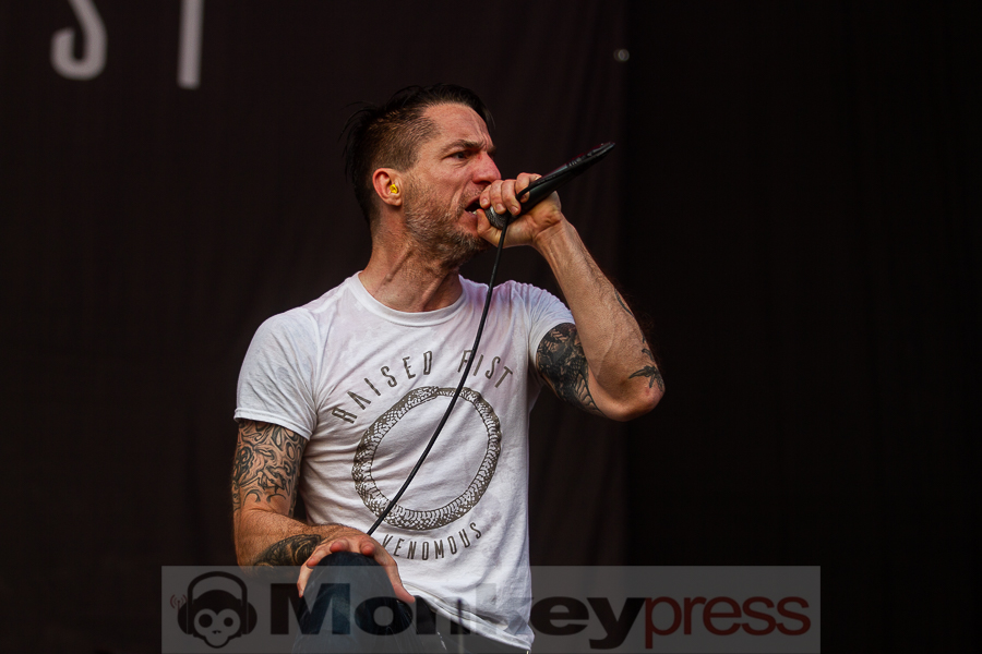 Raised Fist, © Markus Hillgärtner