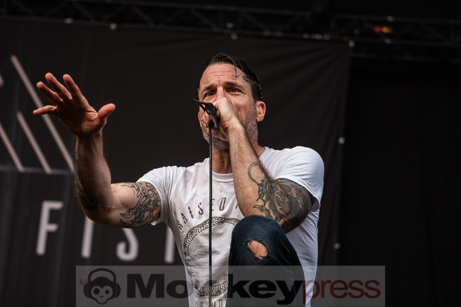 Raised Fist, © Markus Hillgärtner