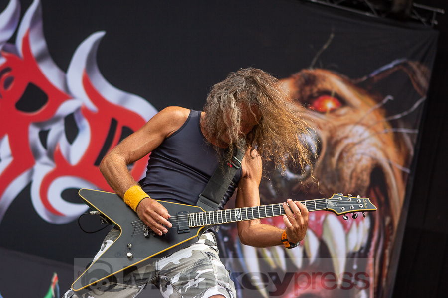 Tankard, © Markus Hillgärtner