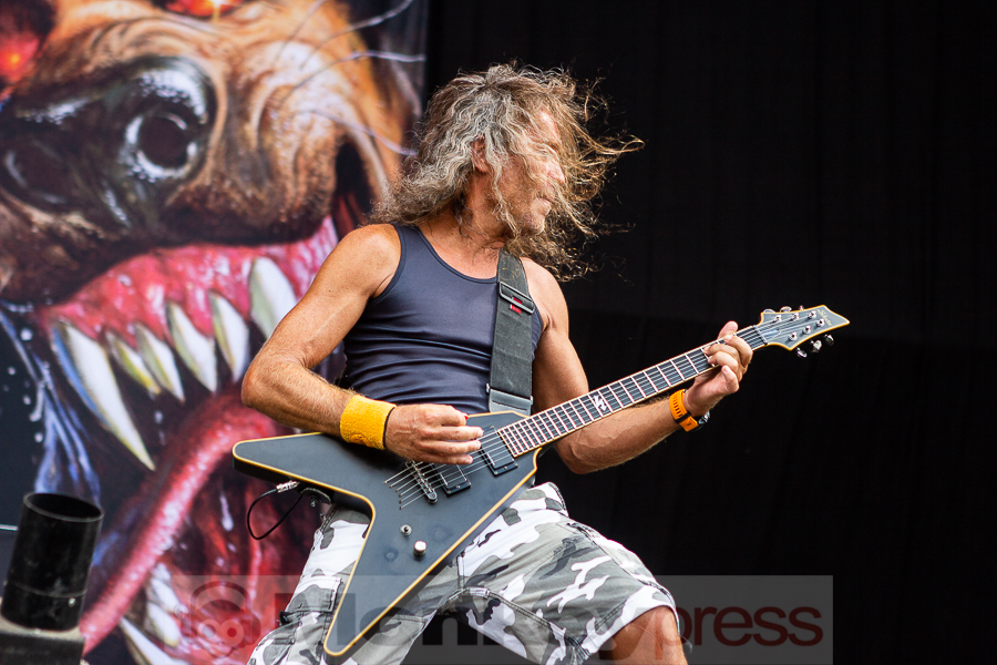 Tankard, © Markus Hillgärtner
