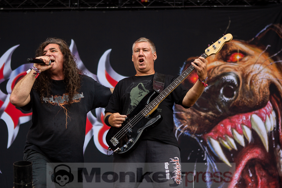 Tankard, © Markus Hillgärtner