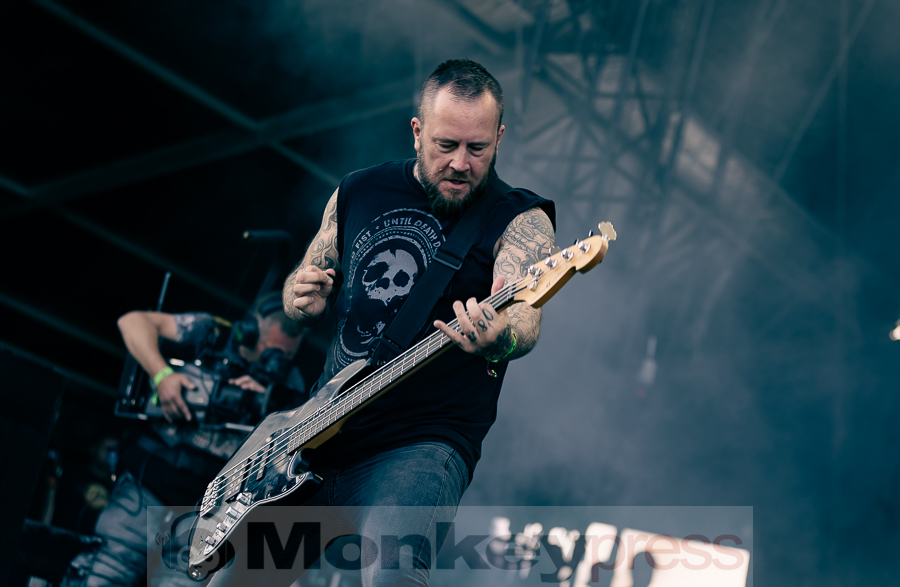 Raised Fist, © Birger Treimer