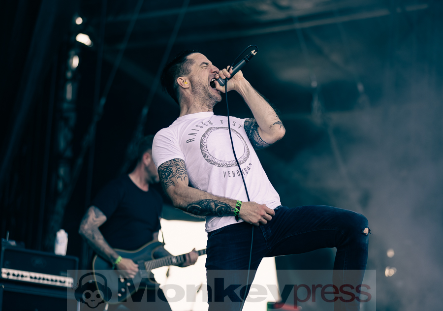 Raised Fist, © Birger Treimer