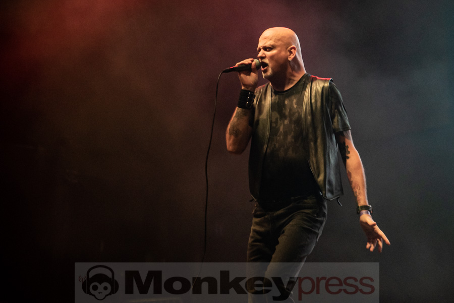 Leather Strip, © Mirco Wenzel