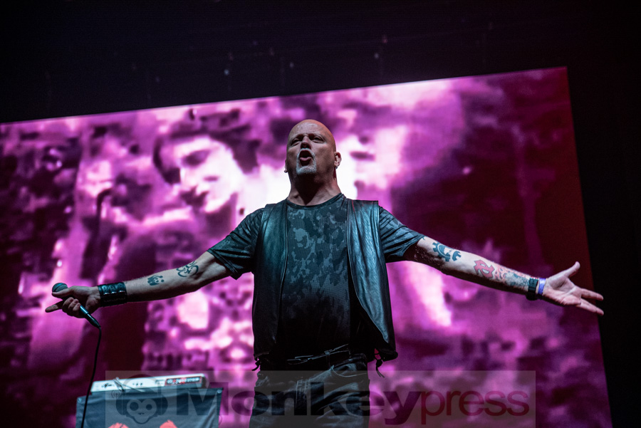 Leather Strip, © Mirco Wenzel