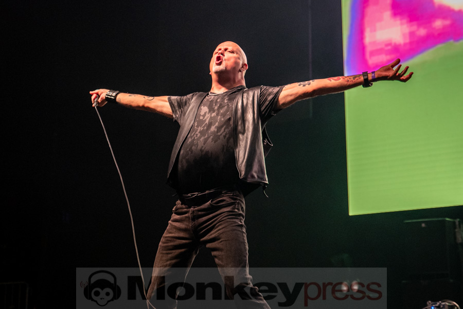 Leather Strip, © Mirco Wenzel