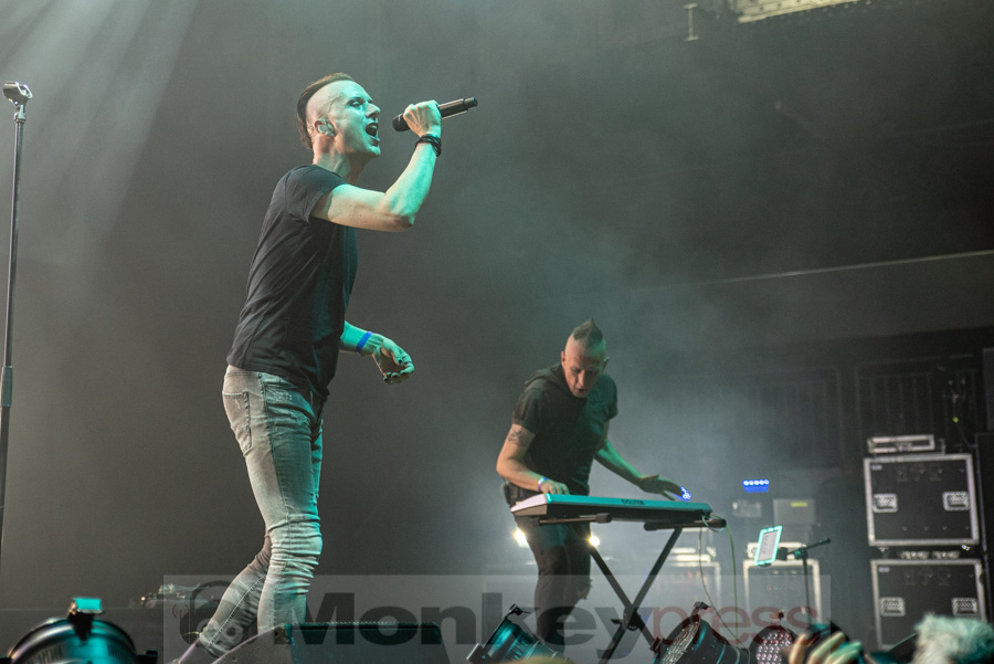 Solar Fake, © Mirco Wenzel