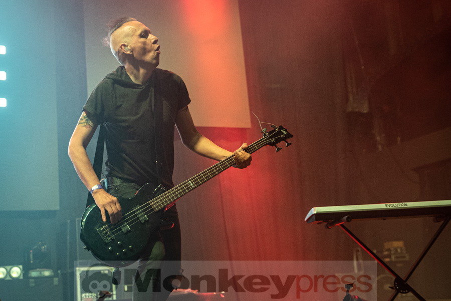 Solar Fake, © Mirco Wenzel