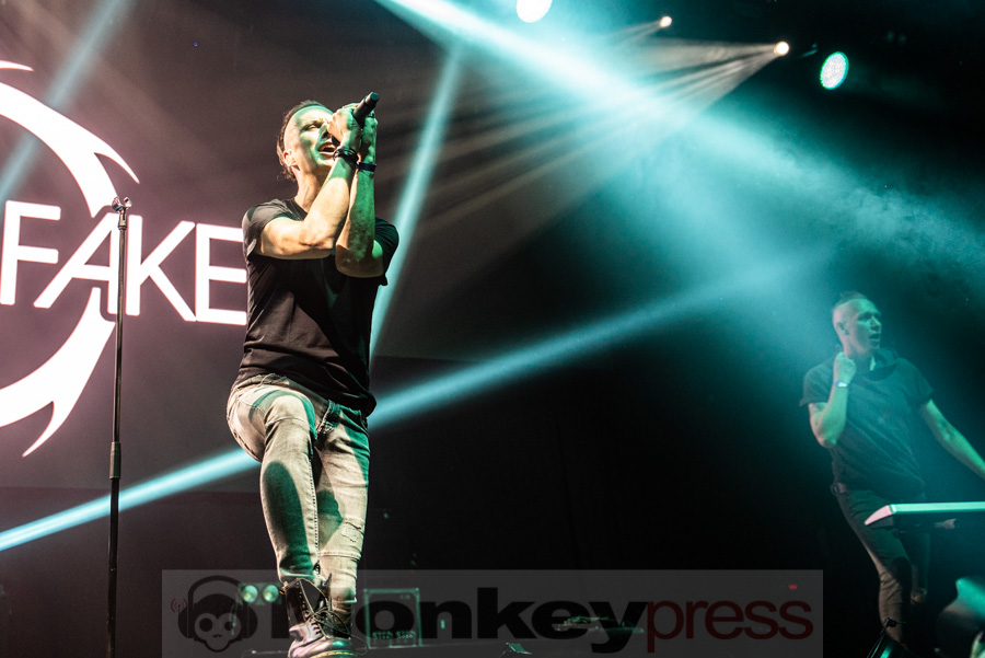 Solar Fake, © Mirco Wenzel