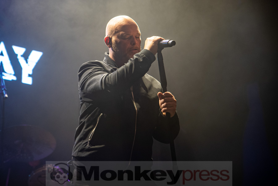 The Joke Jay, © Mirco Wenzel